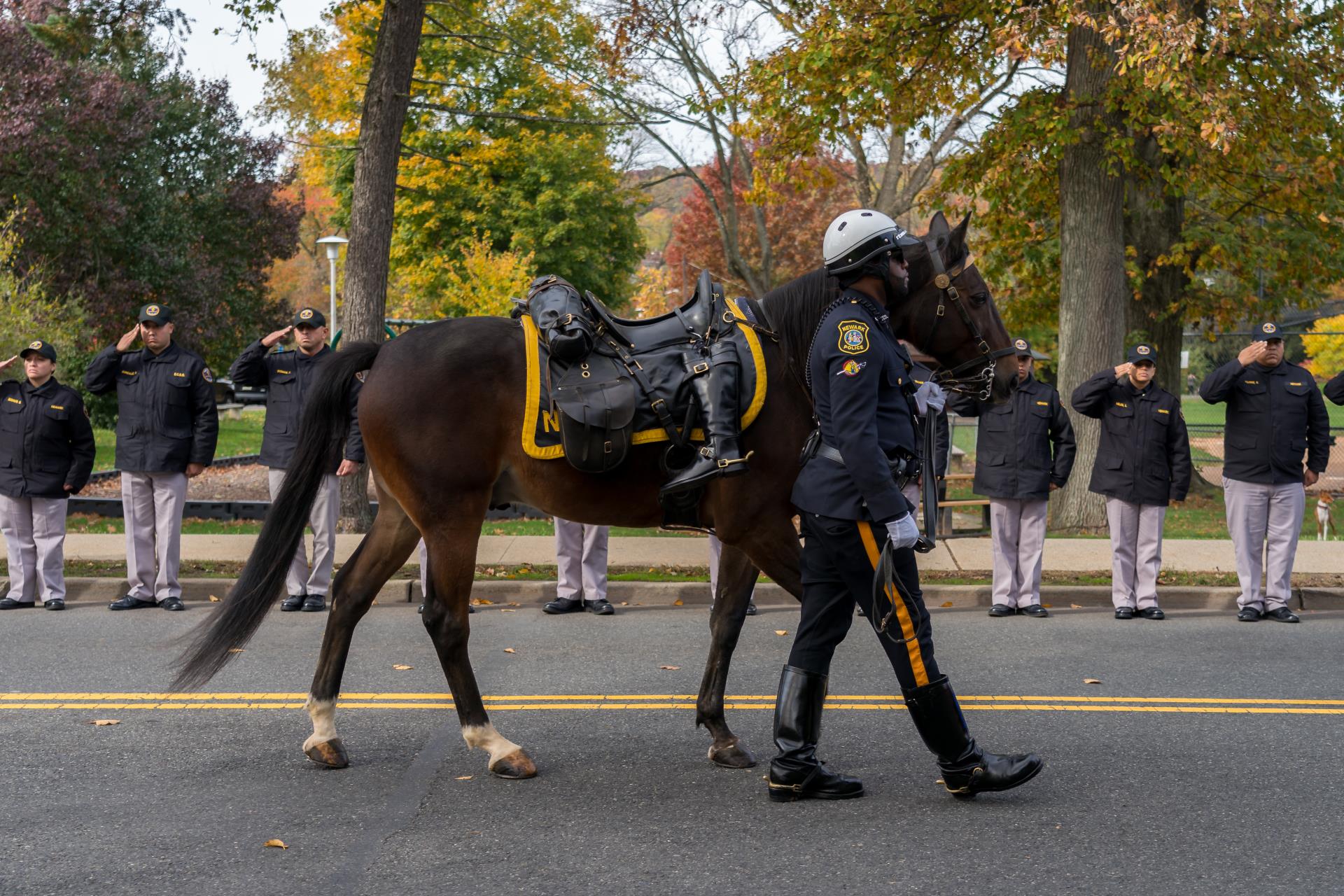 Image of police horse procession at Chief DeVaul's funeral.